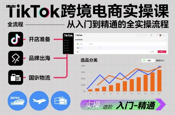 TikTok跨境电商实操课，从入门到精通的全实操流程插图