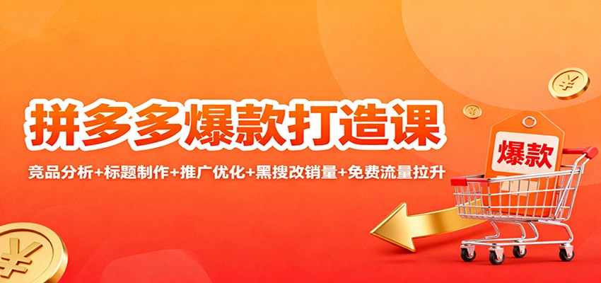 拼多多爆款打造课:竞品分析+标题制作+推广优化+黑搜改销量+免费流量拉升插图 拼多多爆款打造课:竞品分析+标题制作+推广优化+黑搜改销量+免费流量拉升插图