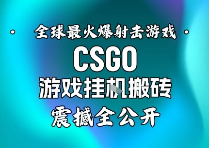 【年底大揭秘】基于全球最火爆的射击CSGO游戏挂G搬砖，日入5张+，震撼公开插图