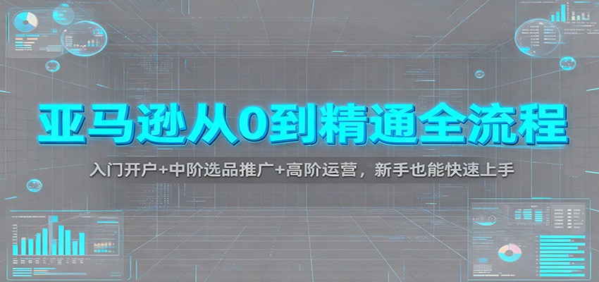 亚马逊从0到精通全流程：入门开户+中阶选品推广+高阶运营，新手也能快速上手插图