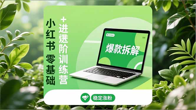 （16801期）小红书零基础+高阶训练营：安全养号、爆款拆解、长效运营，实现稳定涨粉与变现插图
