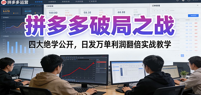 拼多多破局之战:四大绝学公开,日发万单利润翻倍实战教学插图 拼多多破局之战:四大绝学公开,日发万单利润翻倍实战教学插图