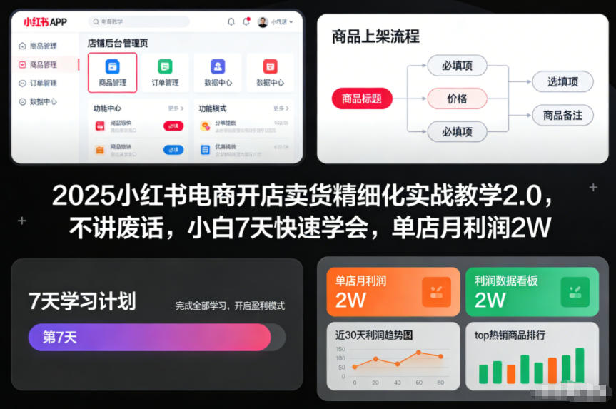 2025小红书电商开店卖货精细化实战教学2.0，不讲废话，小白7天快速学会，单店月利润2W插图