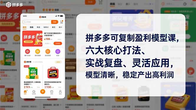 （16952期）拼多多可复制盈利模型课，六大核心打法、实战复盘、灵活应用，模型清晰，稳定产出高利润插图