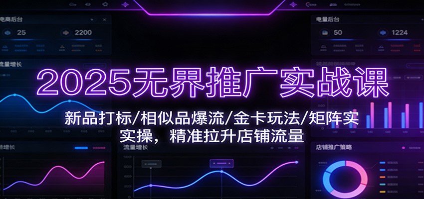2025无界推广实战课：新品打标/相似品爆流/金卡玩法/矩阵实操，精准拉升店铺流量插图