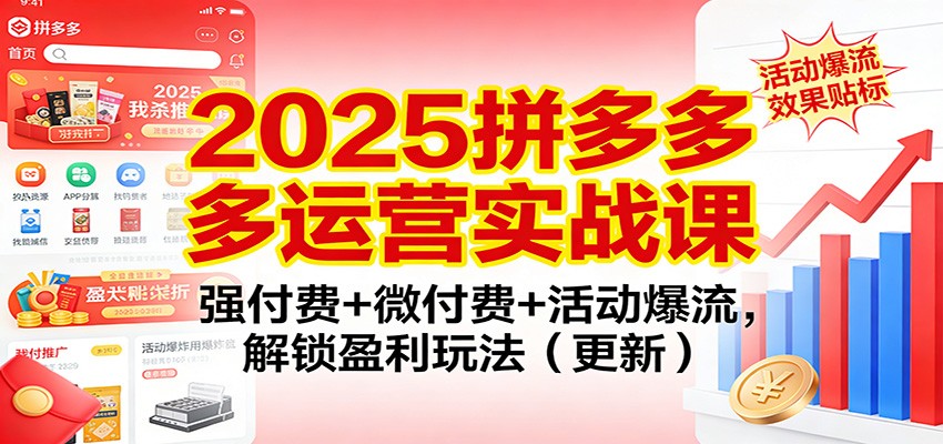 2025拼多多运营实战课：强付费+微付费+活动爆流，解锁盈利玩法（更新）插图