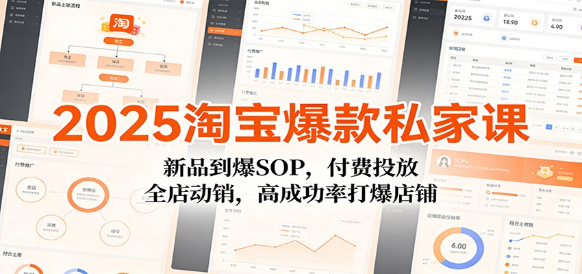 2025淘宝爆款私家课：新品到爆SOP，付费投放，全店动销，高成功率打爆店铺插图