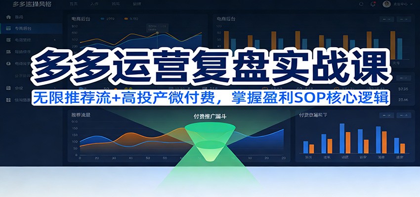 多多运营复盘实战课：无限推荐流+高投产微付费，掌握盈利SOP核心逻辑（更新）插图