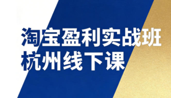 淘宝盈利实战班杭州线下课12月26-28日（音频+字幕），帮你掌握SOP流程+12门核心技术插图