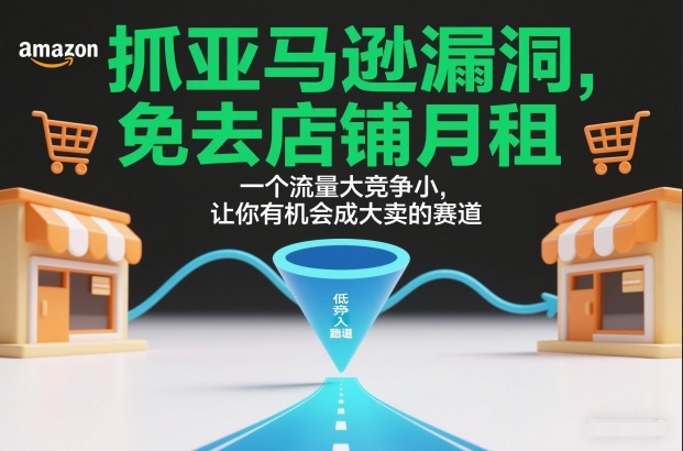 抓亚马逊漏洞，免去店铺月租，一个流量大竞争小，让你有机会成大卖的赛道插图