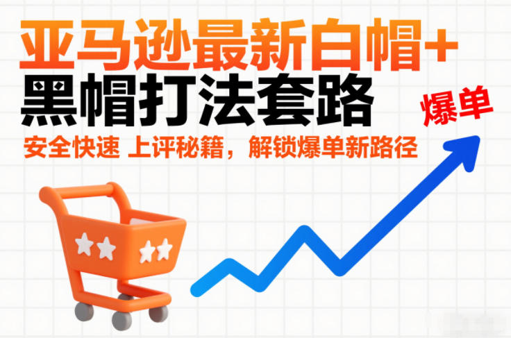 亚马逊最新白帽+黑帽打法套路，安全快速上评秘籍，解锁爆单新路径插图