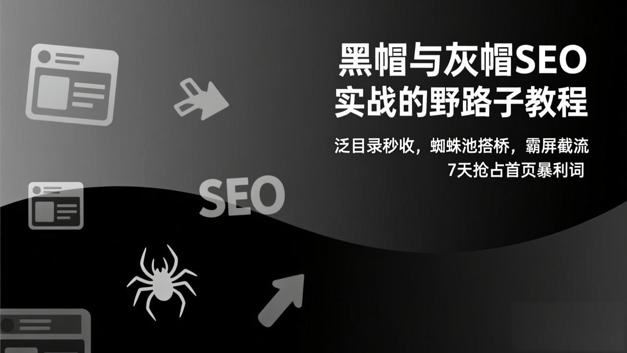 （17125期）黑帽与灰帽SEO实战的野路子教程：泛目录秒收，蜘蛛池搭桥，霸屏截流，7天抢占首页暴利词插图