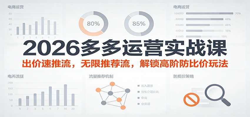 2026多多运营实战课：出价速推流，无限推荐流，解锁高阶防比价玩法（更新）插图