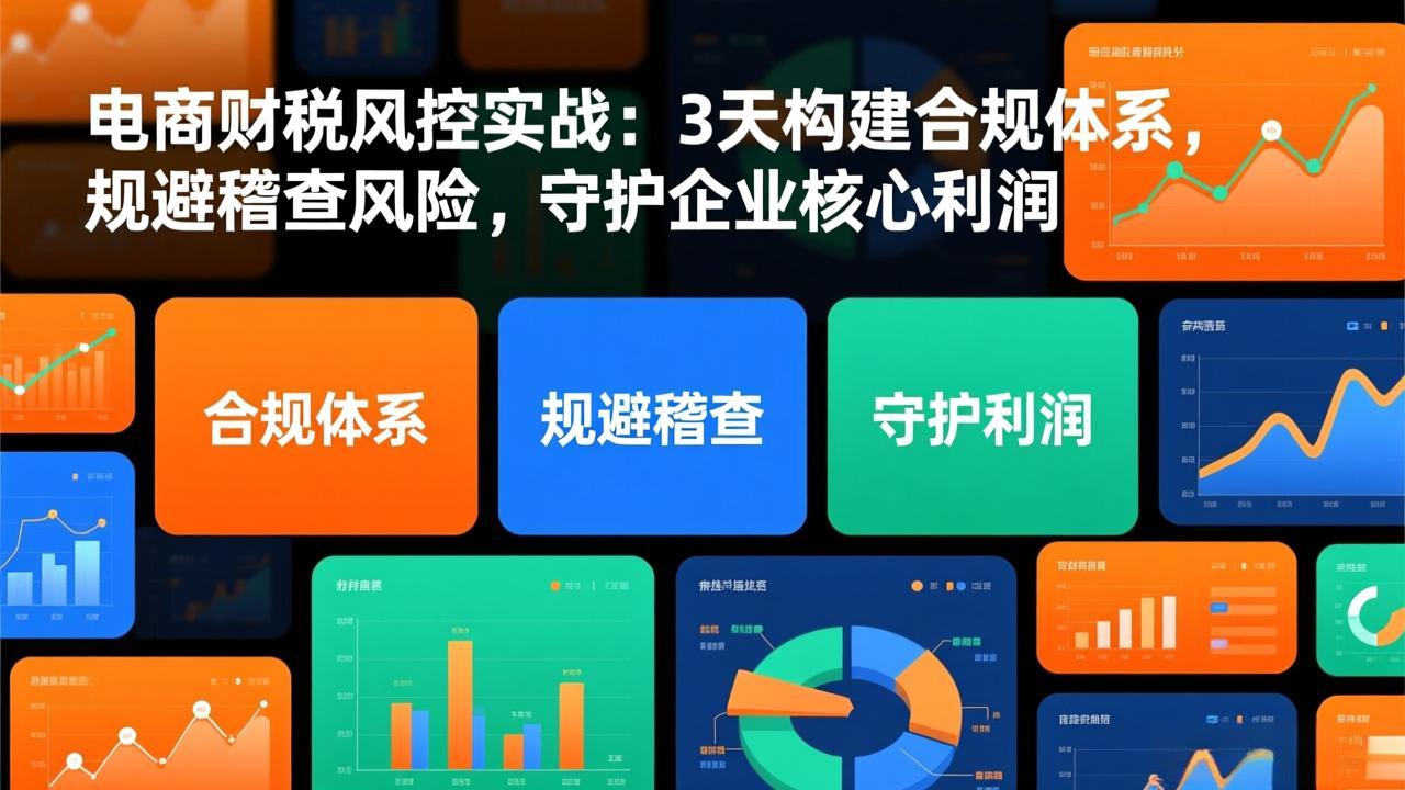 （17197期）电商财税风控实战：3天构建合规体系，规避稽查风险，守护企业核心利润插图