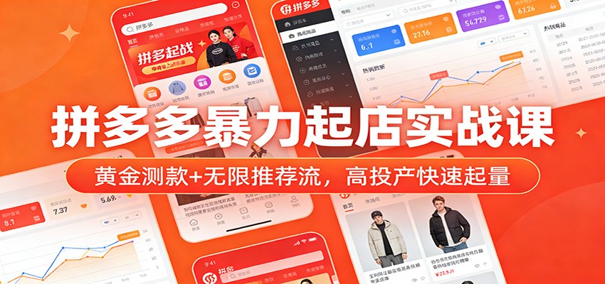 拼多多暴力起店实战课：黄金测款+无限推荐流，高投产快速起量插图