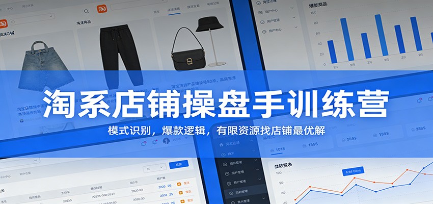 淘系店铺操盘手训练营：模式识别，爆款逻辑，有限资源找店铺最优解插图