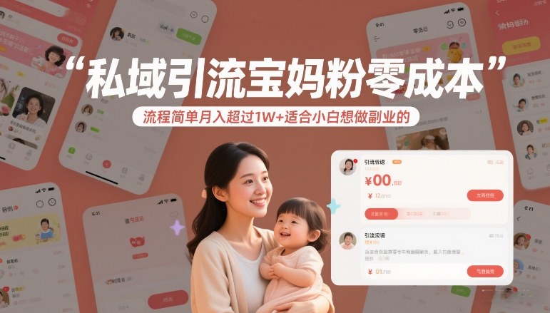 私域引流宝妈粉零成本流程简单月入超过1W+适合小白想做副业的插图