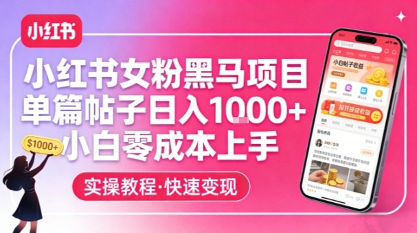 小红书女粉黑马项目，单篇帖子日入1k+，小白零成本上手插图