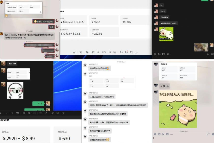 雷神加速器项目模拟器_无脑1分钟1条视频矩阵_疯狂报单打法【焚诀】插图1