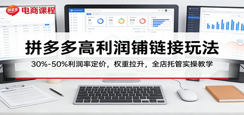 拼多多高利润铺链接玩法：30%–50%利润率定价，权重拉升，全店托管实操教学插图