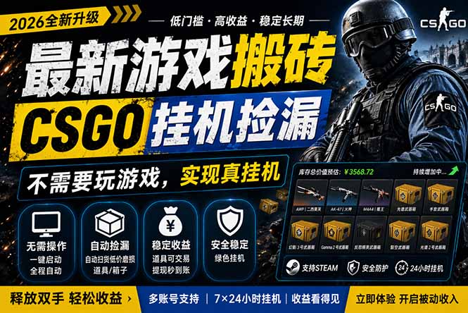 （18182期）最新游戏搬砖，CSGO纯挂机，不需要玩游戏，实现真挂机，月入1W+，五一小高峰上车可吃肉，…插图