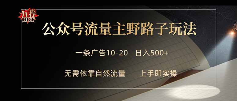 （18178期）公众号流量主野路子玩法 单条广告10-20元 日入500+插图