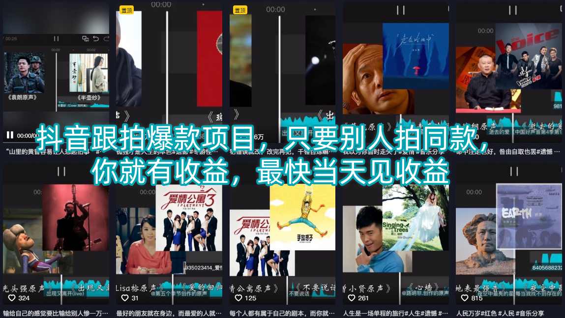 抖音跟拍爆款项目，只要别人拍同款，你就有收益，最快当天见收益插图