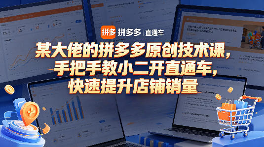 某大佬的拼多多原创技术课，手把手教小二开直通车，快速提升店铺销量插图