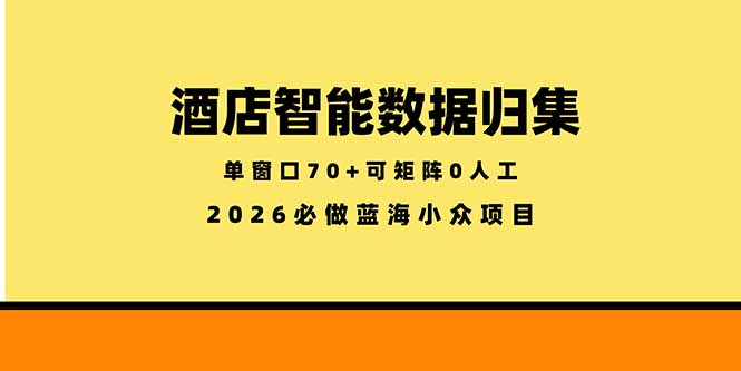 （18500期）酒店智能数据归集，小众蓝海已经稳定半年之久，单窗口70+零成本矩阵开干插图
