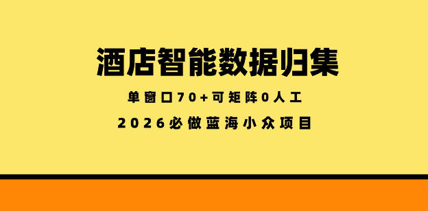 酒店智能数据归集，小众蓝海已经稳定半年之久，单窗口70+零成本矩阵开干插图