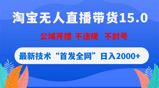 （18562期）淘宝无人直播带货15.0，不封号，不违规，公域玩法，首发全网日入2000+插图