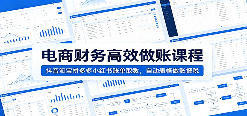 电商财务高效做账课程：抖音淘宝拼多多小红书账单取数，自动表格做账报税插图